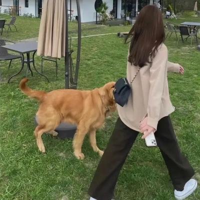 造物主